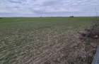 Vanzare teren intravilan 13.852mp, zona depozite Domnesti - 1