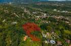 Teren 3.886 mp, Breaza - Podu Vadului, 30 m deschidere la asfalt