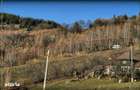 Magura/Brasov, teren generos, pretabil investitie cabane/pensiune/casa - 22