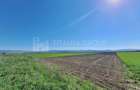 Teren extravilan, 8700 mp, pretabil agricultura sau inve... - 9