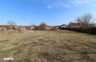 Vand proprietate cu 2 case in Pe?ti?u Mare-Hunedoara, teren 2261mp... - 16