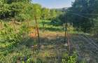 Exclusivitate! Teren intravilan zona Beceni - 5