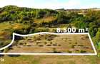 Super view | Teren 8.500 m2 Maramures | Viitorul tau colt de liniste