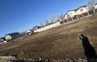 Teren Intravilan 500 MP strada Ortansei Clinceni-Domnesti - 2