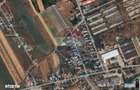 Vanzare teren extravilan 28800 mp, sat Posta, jud Giurgiu - 4