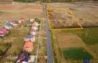 Teren pentru parcelare, 19000 mp, Pischia, comision 0 - 8