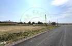 Teren intravilan 1450 mp 397 DN1F - Loc. Ghenci - Jud. Satu Mare - 4