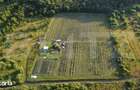 Afacere la Cheie: Plantatie Afine 1.93 Ha Profit Garantat - 6