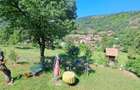 Casa cu gradina de vanzare - 3