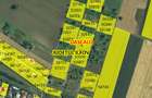 Teren -intravilan Dascalu , 18000 m /17€ m2  - 6