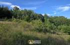 De vanzare teren extravilan 8,2037 ha padure ?i pa?une Borod, Bihor - 6