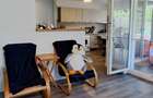 Casa, 3 camere, 2 bai, 575mp teren, centrul Tautii-Magheraus - 9