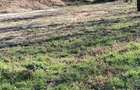 Vand teren intravilan sat Paulis comuna Soimus - 1