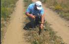 vand teren intravilan Malu Mare 1500 mp - strada Salcamilor - 6