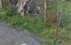 vand teren intravilan - 1