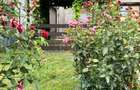 Casa la rosu - 25 km pana in Bucuresti - living 36mp - 1