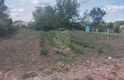 Teren 701 mp-ideal investitie, cabana, gradina-Slatinita - 3