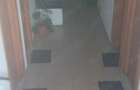 Vand Casa Afacere Pensiunea Magic Motel-Pensiune situat Pitesti Geamana Strada Primaveri nr 1B