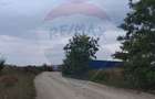 Teren extravilan 3000mp de vanzare la Santion - 3