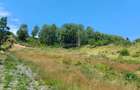 Teren Intravilan in zona Trei Ape, 6889 Mp., 14,5 Euro/Mp., - 5