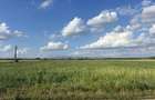 Teren extravilan 7,33 ha - 2