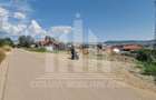 Teren intravilan | De vanzare | 2350 mp | 24 ml deschidere | Cetate