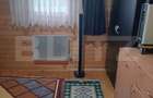 Cabana + teren generos, 60 mp utili, 30 km de Deva - Boz - 14