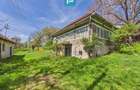 Proprietate rara cu 24.270 mp, in Magulicea, Arad! - 9