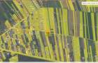 Bolintin Deal Intravilan 1383mp str.Campul nou acces pe doua laturi - 3