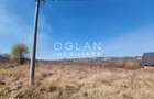 Oportunitate! Teren 8000 mp,parcelat ,cu PUZ ,Daia Noua, acces Dj 106 - 4