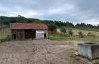 Aproximativ4 ha teren | Casa batraneasca | Beiusele - Bihor - 3