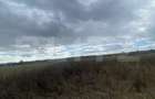 Teren extravilan, 2500 mp, zona Lucieni - 4