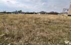 RECO Teren intravilan in Sanmartin 780mp - 2