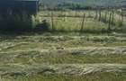 Teren 1.000 mp Bungard Zorabia - Selimbar | CF individual | 34.500