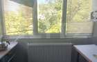 Apartament 2 camere, zona Nicolina - 9