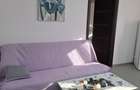 Apartament 2 camere, ultra-central ( pietonala ) -- variante - 8