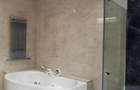 Dorobanti Penthouse supr. 235mp terasa 130mp - 27