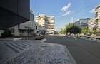 Spatiu de inchiriat Bd. Anastasie Panu, Centru