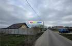 Vanzare lot de teren 1700 mp in apropriere de lac si padurea Cernica - 18