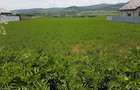 Vand Teren/ suprafata 11400m2/6m2 - 1