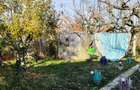 Teren 10 arii cu casa - 3