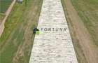 Loturi de gradina 400 mp - Sacele - 7