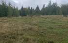 Teren extravilan de 7501 mp, în Călățele - 2