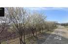 Teren intravilan Fundulea loturi 1.000 mp zona reziden?iala asfalt A2 DN3 - 6