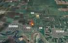 2 ha teren de vanzare in Vladimirescu- Cicir - 1