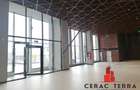 Spațiu comercial, de 780 mp, în Calea București - 1