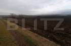 Teren intravilan de 21300 mp, în Central - 3