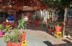 vila Mangalia , 800 m de plaja - 5