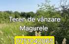 Teren de 2800 mp, în Central - 1