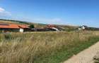 Teren de vanzare marginimea Sibiului - 3